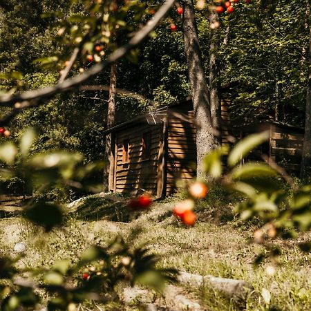 Domek Na Mazurach ムロンゴヴォ エクステリア 写真